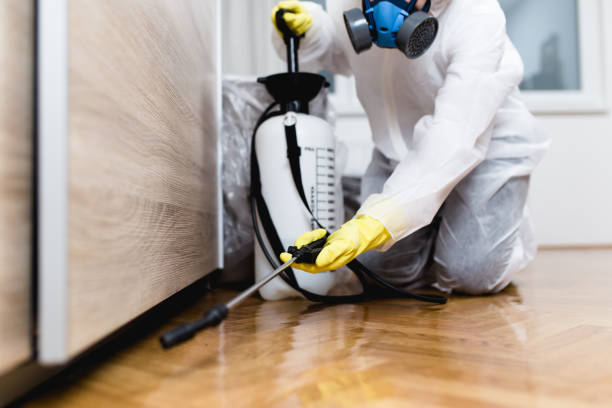 Best Termite Control Services  in Falfurrias, TX