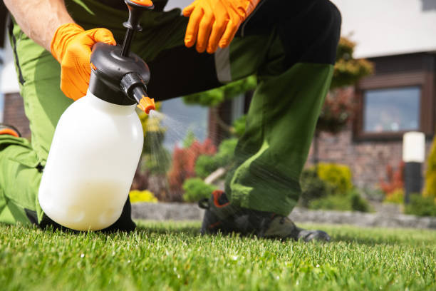 Flea Control Services in Falfurrias, TX