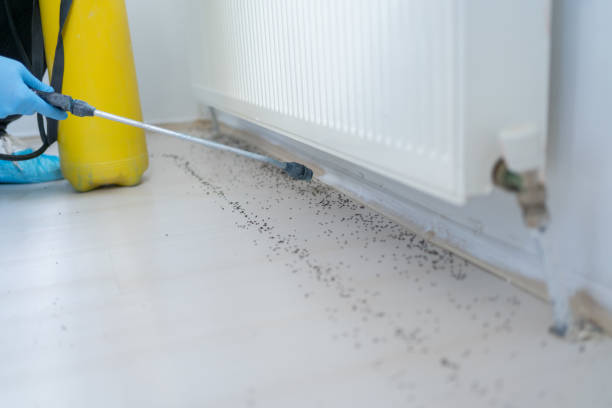 Best Pest Removal Services  in Falfurrias, TX