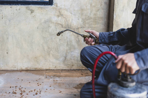 Best Mosquito Control Services  in Falfurrias, TX