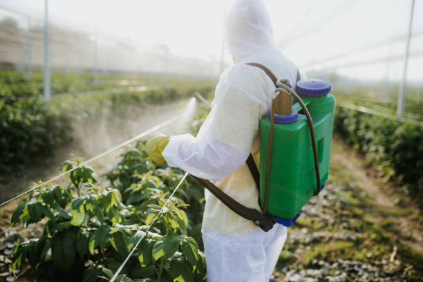 Best Residential Pest Control  in Falfurrias, TX